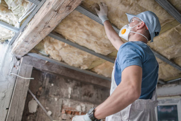 Best Residential Insulation in Lancaster, SC