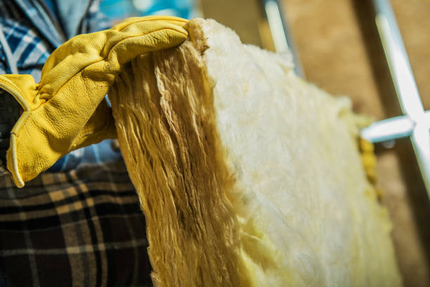 Best Cellulose Insulation in Lancaster, SC