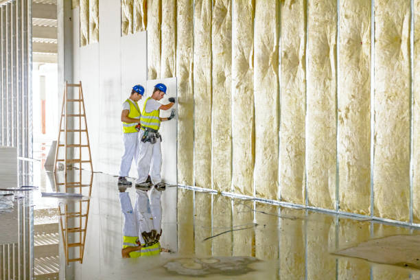 Best Blown-in Insulation in Lancaster, SC